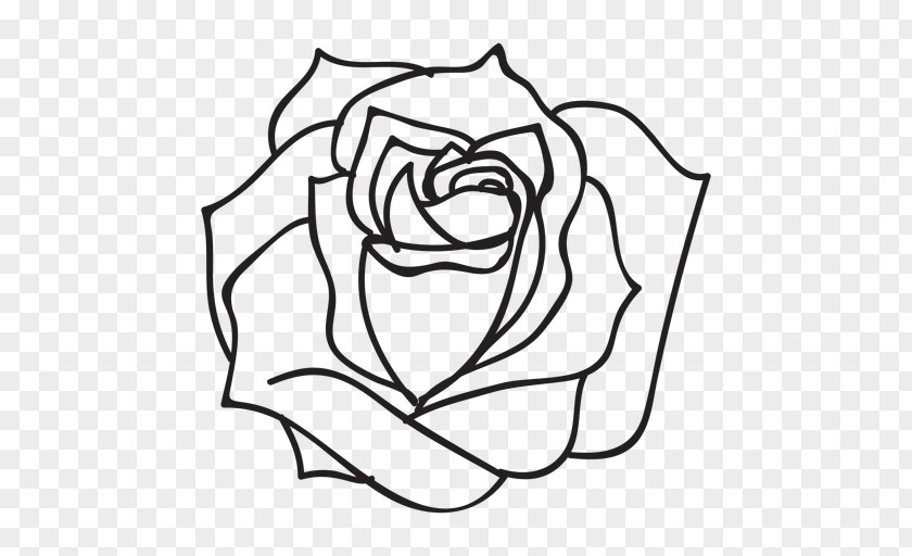 Rose Black And White Drawing Clip Art PNG