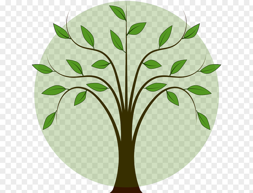Tree Clip Art Openclipart Vector Graphics Image PNG