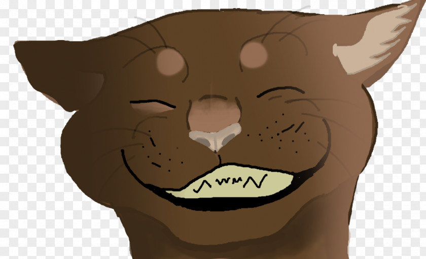 Cat Whiskers Snout Mammal Dog PNG