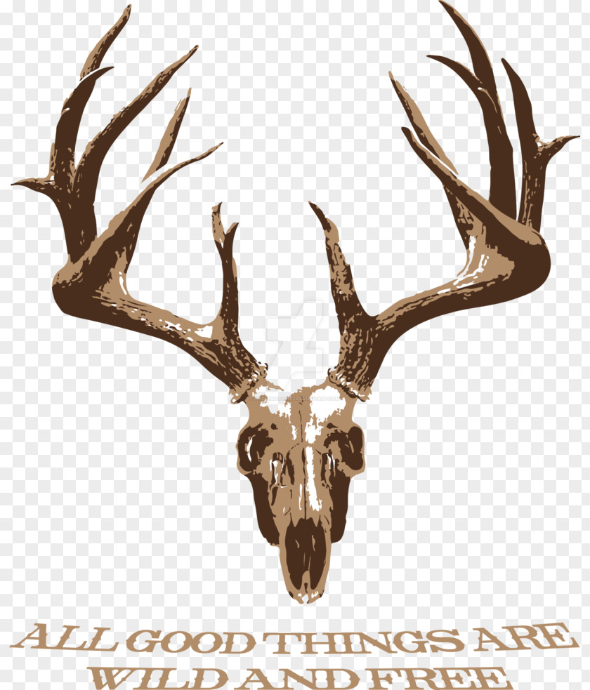 Deer White-tailed Elk Antler Skull PNG