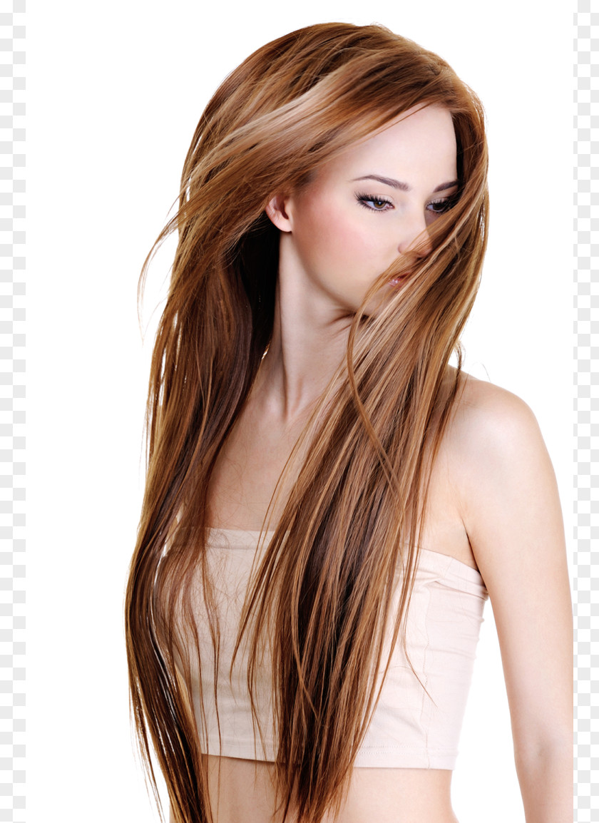 Hair Hairstyle Long Human Color PNG