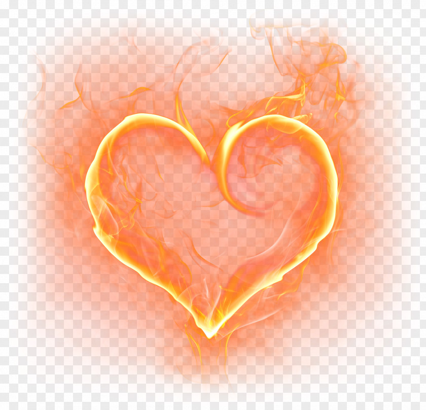 Heart Clip Art Image Adobe Photoshop PNG