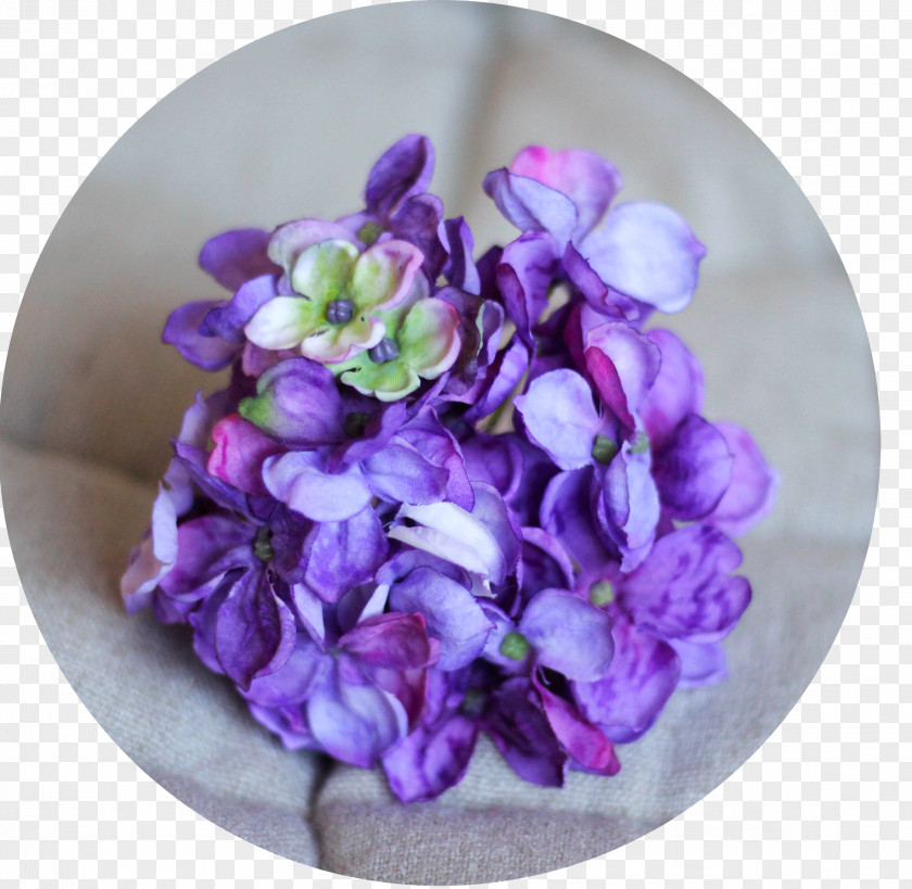 Hortensia Instagram Hydrangea Violet Facebook PNG