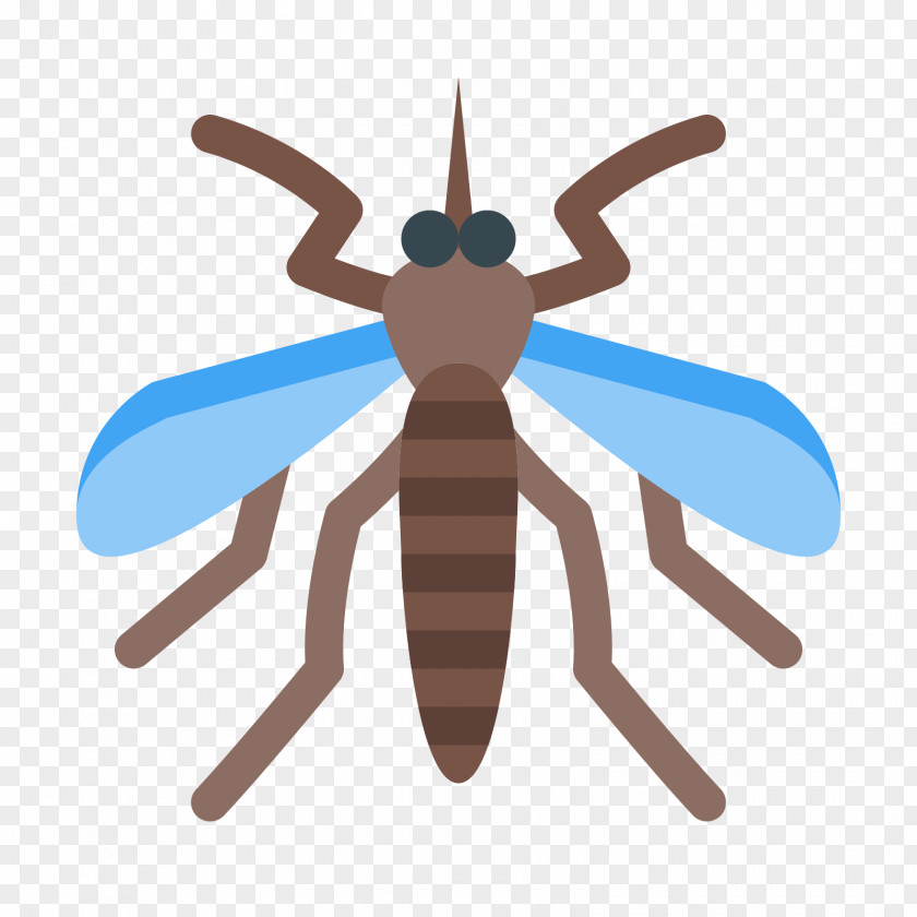 Insect Yellow Fever Mosquito Fly PNG