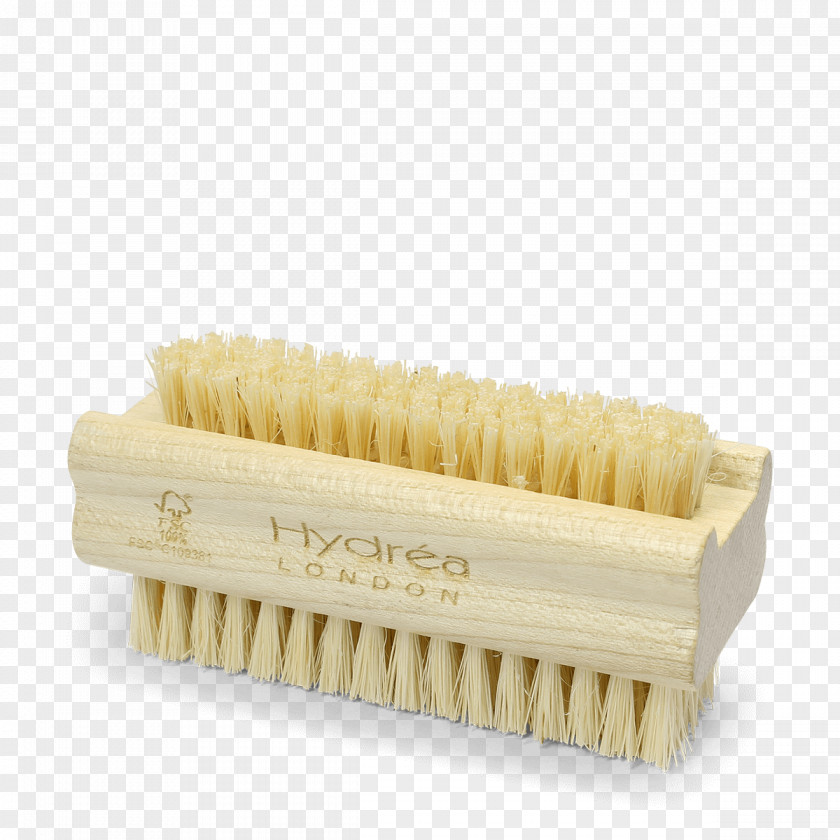 Nail Bristle Hairbrush Hydroxycarbamide PNG