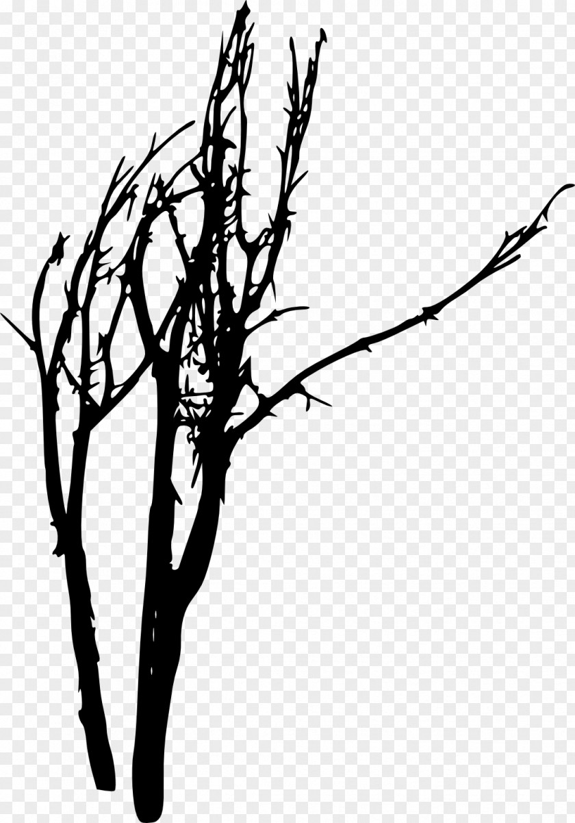 Tree Silhouette Photography Woody Plant Twig PNG