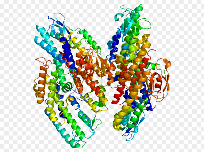 Complex GINS1 GeneCards Ensembl GINS Subunit 1 (Psf1 Homolog) PNG