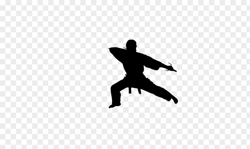 Fight Martial Arts Kung Fu Silhouette PNG