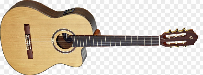 Guitar Acoustic Fender Musical Instruments Corporation Acoustic-electric Takamine Guitars PNG
