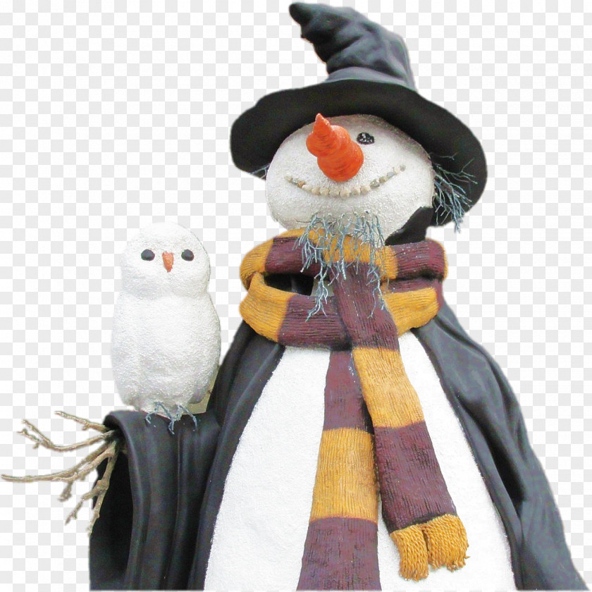 Owl Snowy Book Bird PNG