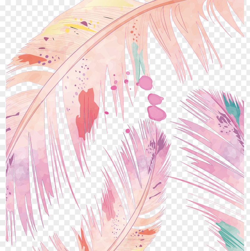 Vector Drawing Feather Watercolor Painting PNG