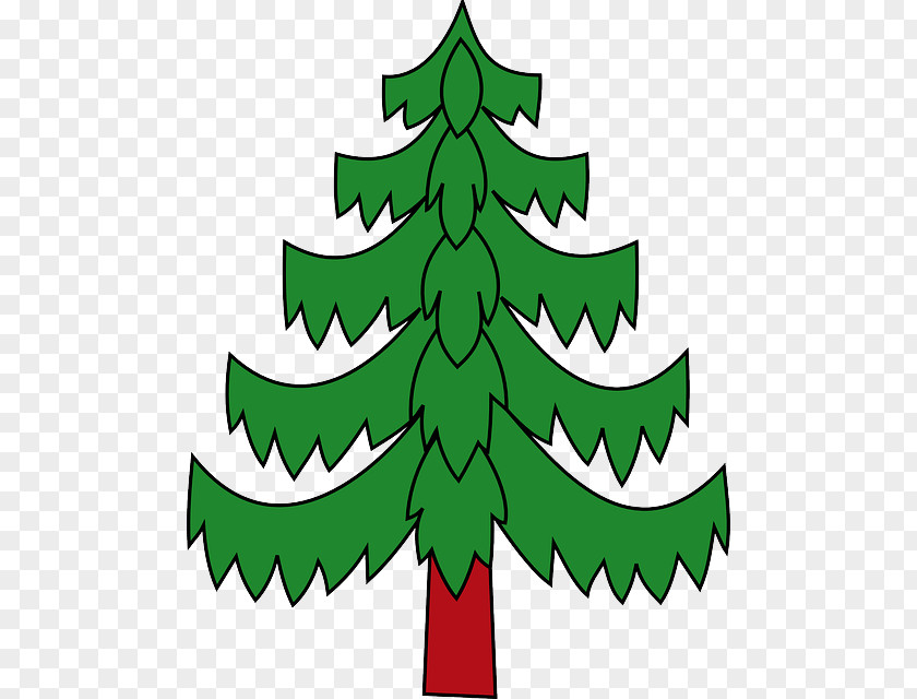 Vegetable Sketch Pine Christmas Tree Clip Art PNG