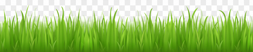 Grass Image Green Picture Lawn Adobe Illustrator PNG