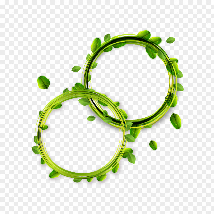 Green Circle Vector Picture Frame Euclidean PNG