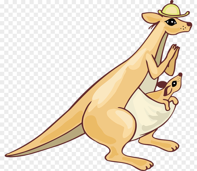 Kangaroo Vecteur PNG