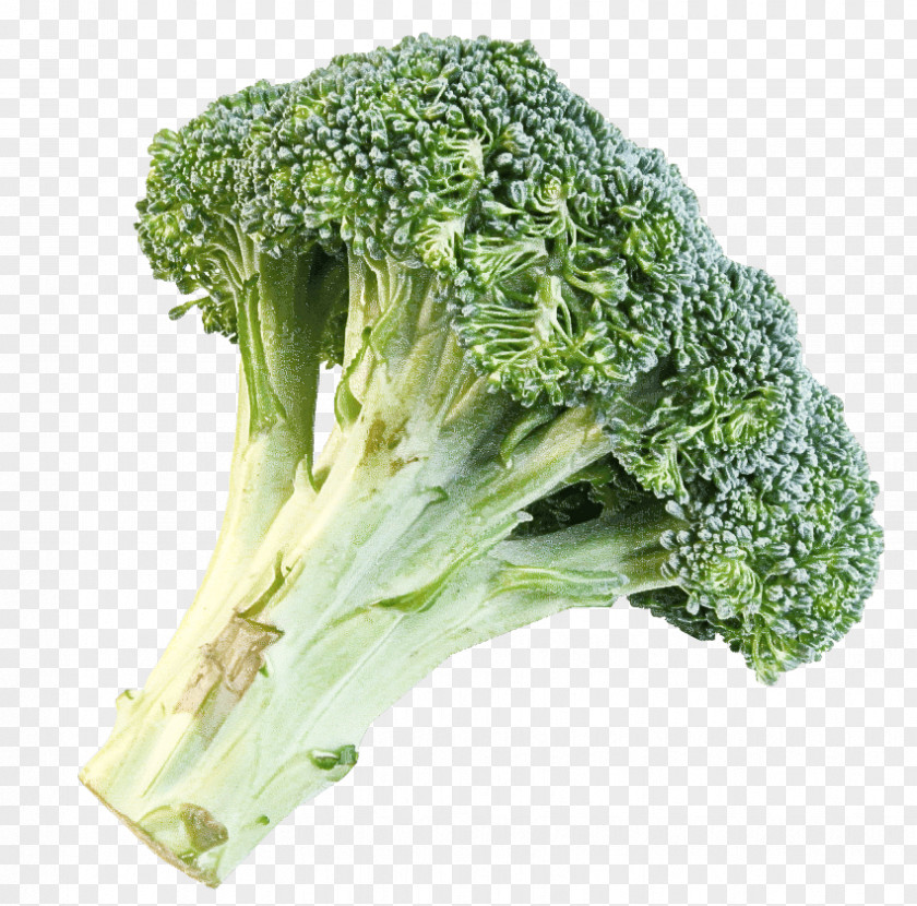 Leaf Vegetable Romaine Lettuce Rapini Broccoli PNG