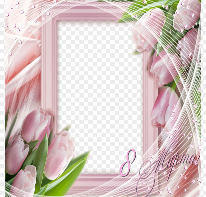 Pink Rose Frame Picture Floral Design Flower PNG