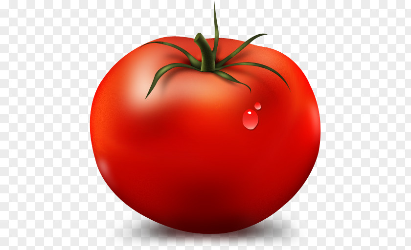Tomato Plum Cobb Salad Vegetable PNG
