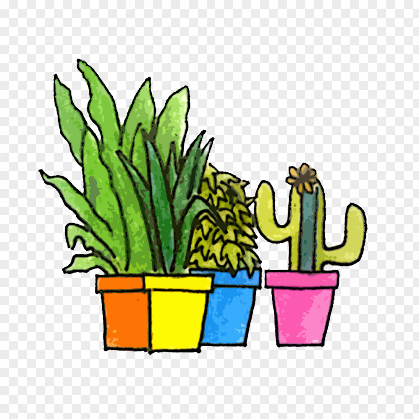 Chicken Biriyani Cactaceae Citroën Cactus M Flowerpot Clip Art PNG