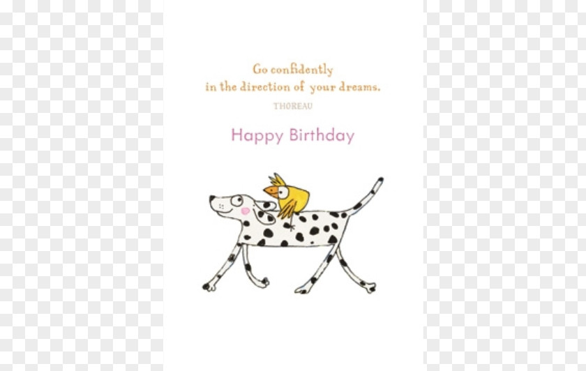 Gift Card Giraffe Greeting & Note Cards Birthday PNG