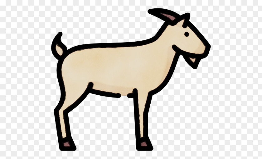 Goat Rennet Milk Biryani Cheese PNG