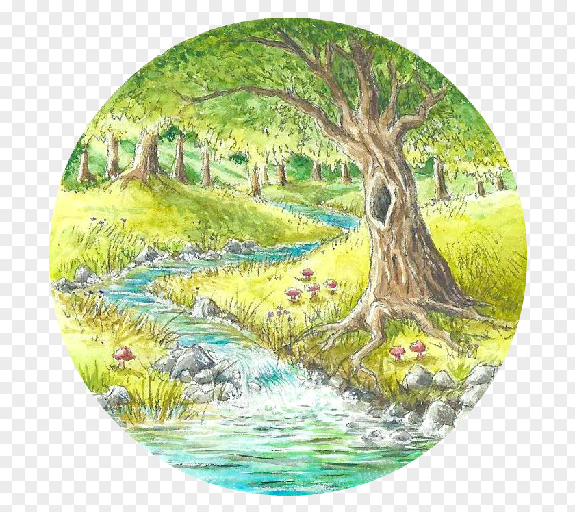 Ross Hutchison Foundation Pin Wetland Water Resources Ecosystem Tree PNG