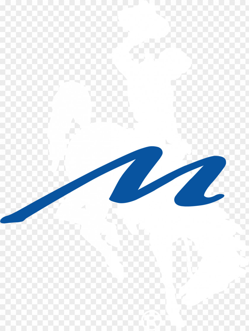 Steamboat Logo Brand Font Product Design Clip Art PNG