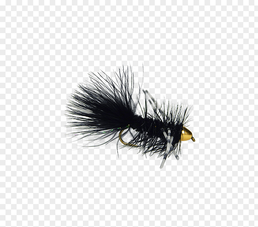 Woolly Bugger Artificial Fly Holly Flies Insect Coast PNG