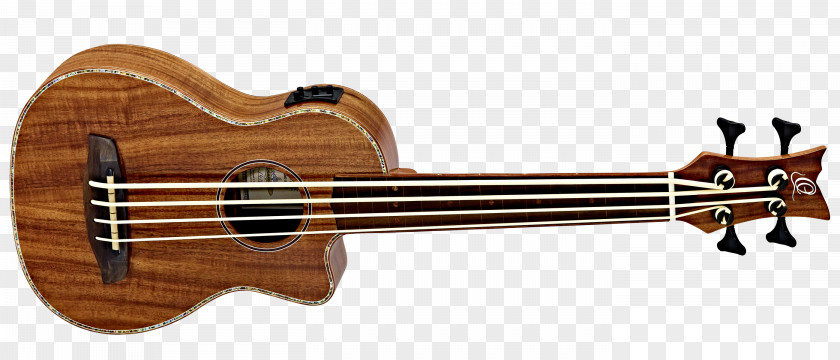 Amancio Ortega Ukulele Bass Guitar Musical Instruments Double PNG
