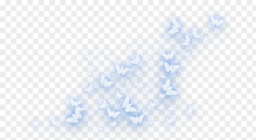 Butterfly Light Blue Square Angle PNG
