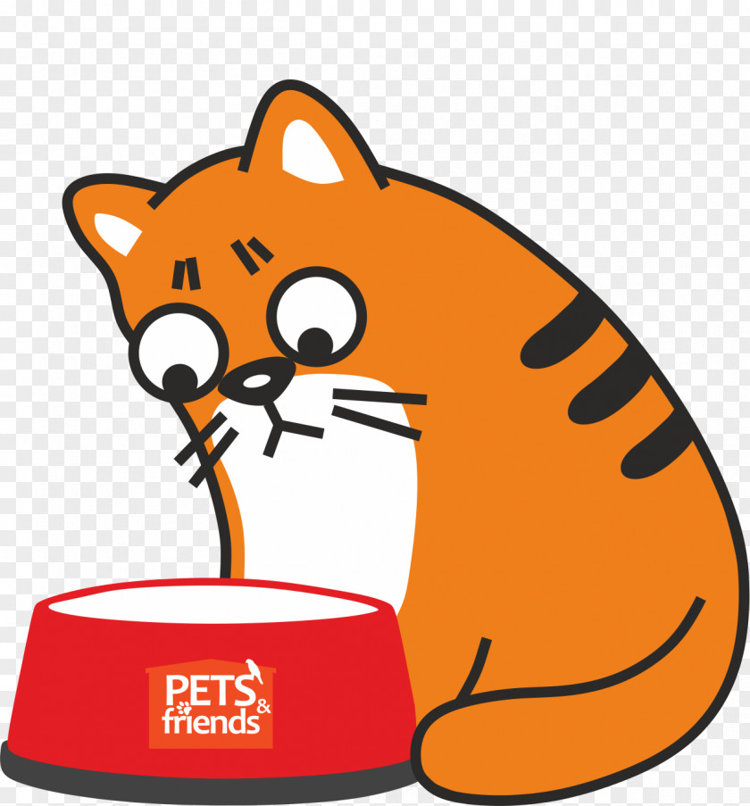 Cat Whiskers Kitten Clip Art PNG