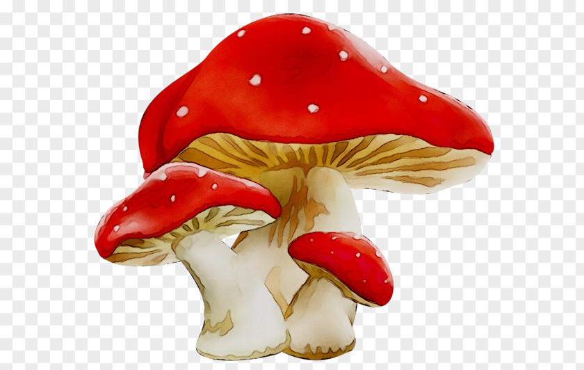 Clip Art Figurine Mushroom Image PNG
