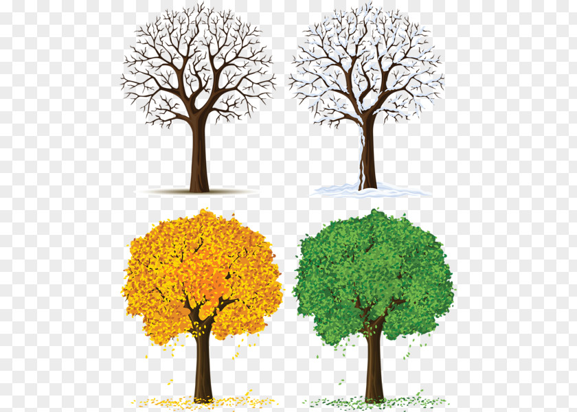 Four Seasons Transparent Images Tree Season Clip Art PNG