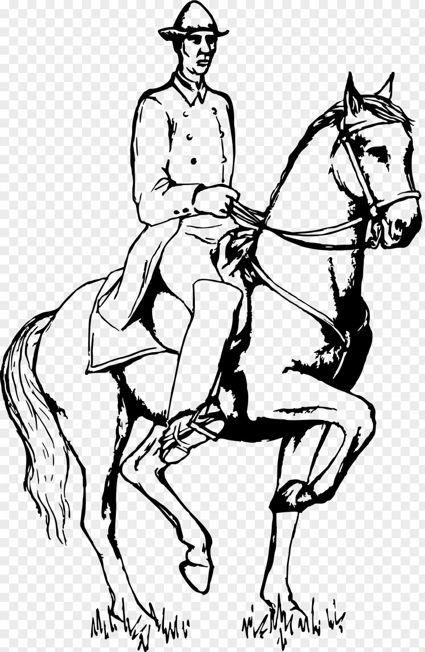 Horse Mule Equestrian Bridle Clip Art PNG
