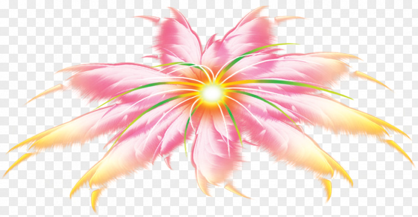 Lotus Fireworks Special Effects PNG