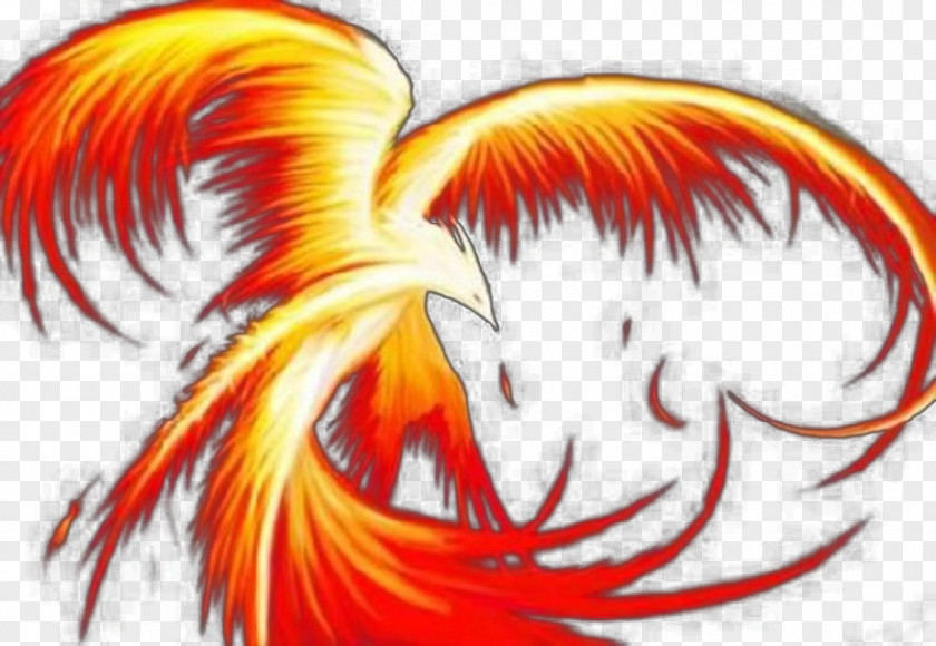 Red Inflammation Firebird Phoenix Heliopolis Bennu PNG