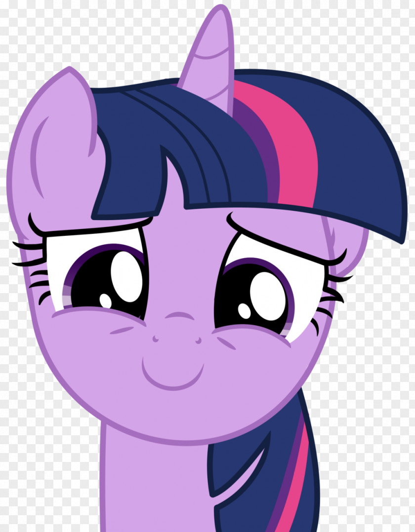Sparkle Twilight Cat Hearts And Hooves Day Valentine's Pony PNG