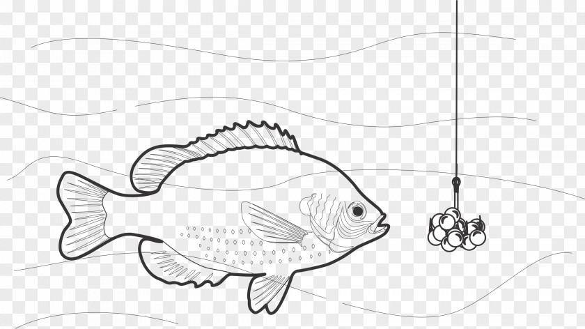 Fishing Rod Bait Fish Hook Black And White Clip Art PNG