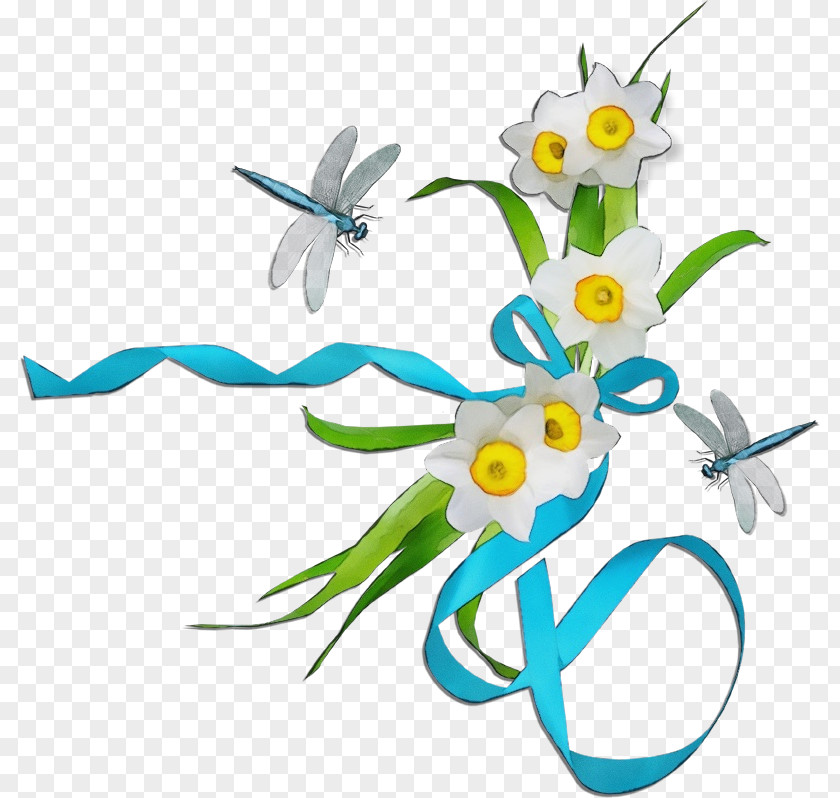 Flower Plant Cut Flowers Narcissus Pedicel PNG