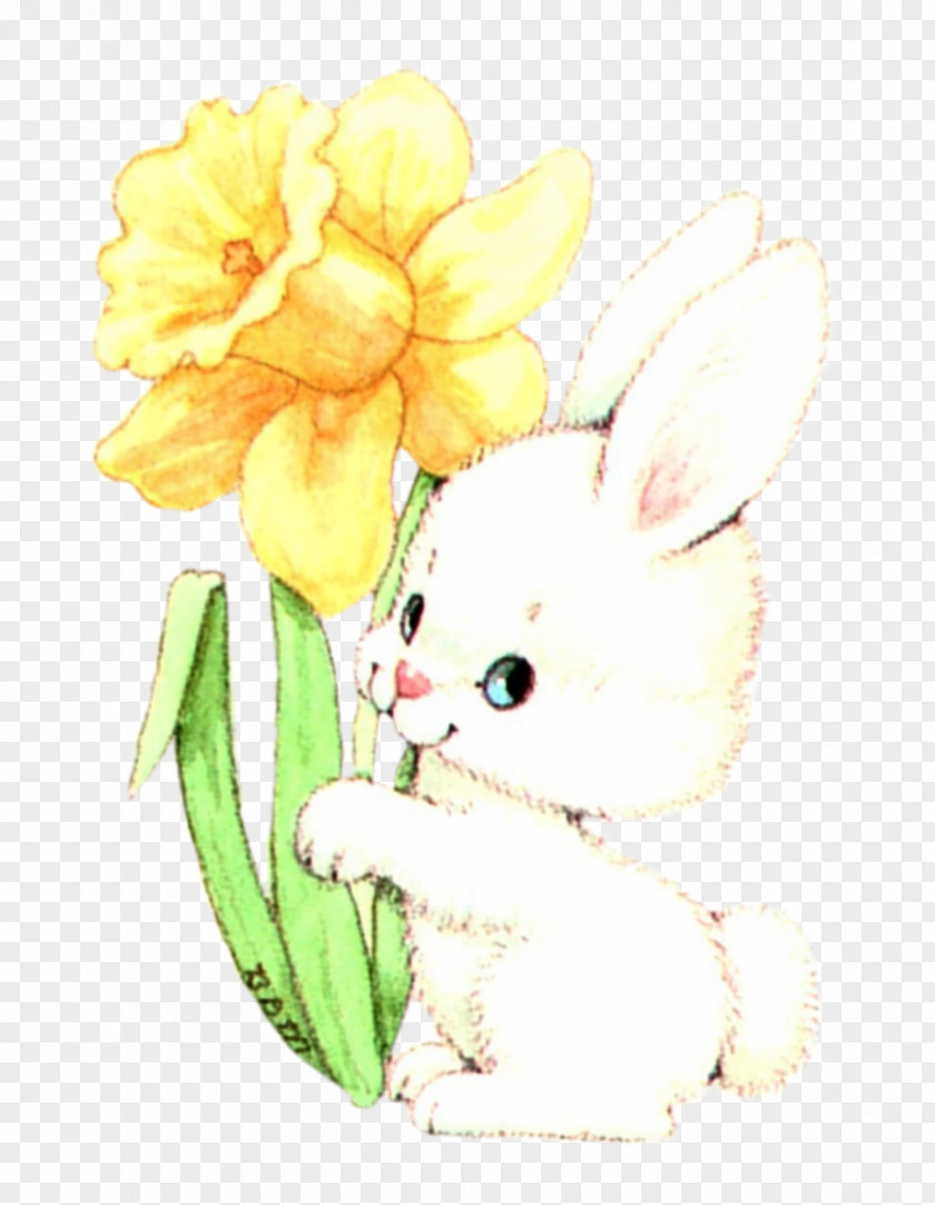 Rabbit Whiskers Easter Bunny Domestic Hare PNG