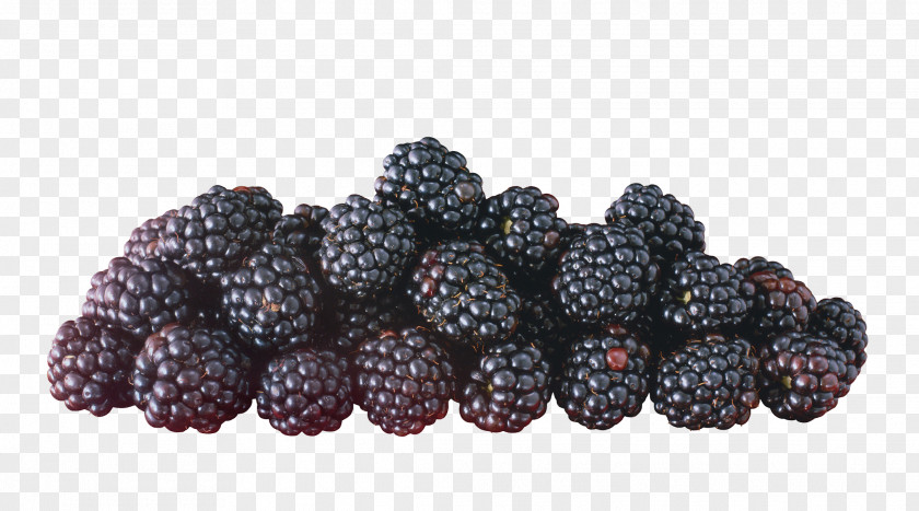 Raspberry Frutti Di Bosco Fruit Blackberry PNG