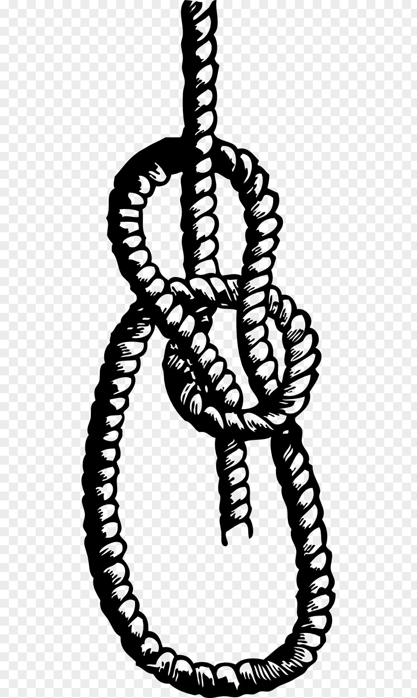 Rope Knot Bowline On A Bight Seizing Clip Art PNG