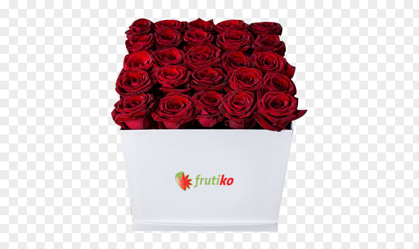 Rose Garden Roses Cut Flowers Frutiko.cz Cardboard Box PNG