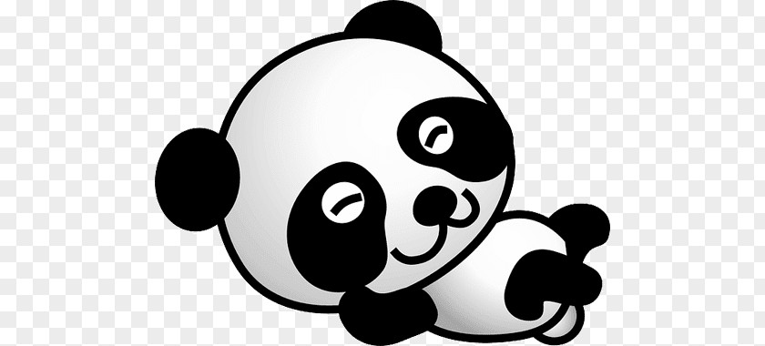 Bear Giant Panda Polar Red PNG