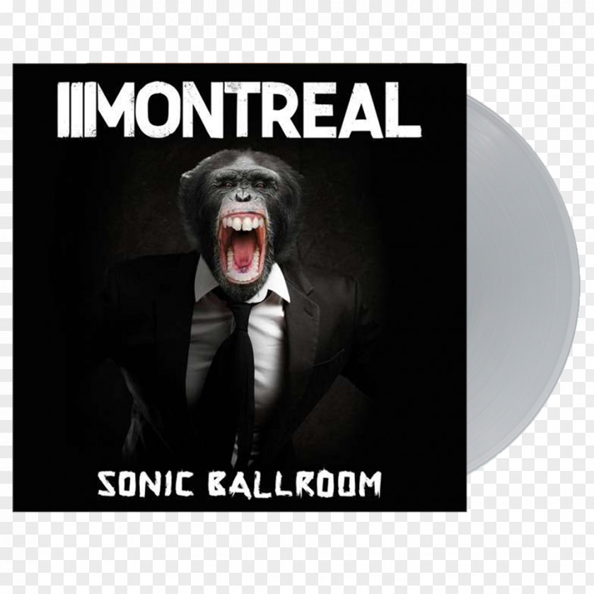 Bonus Montreal Sonic Ballroom Auf Der Faulen Haut Tag Zur Nacht Album PNG