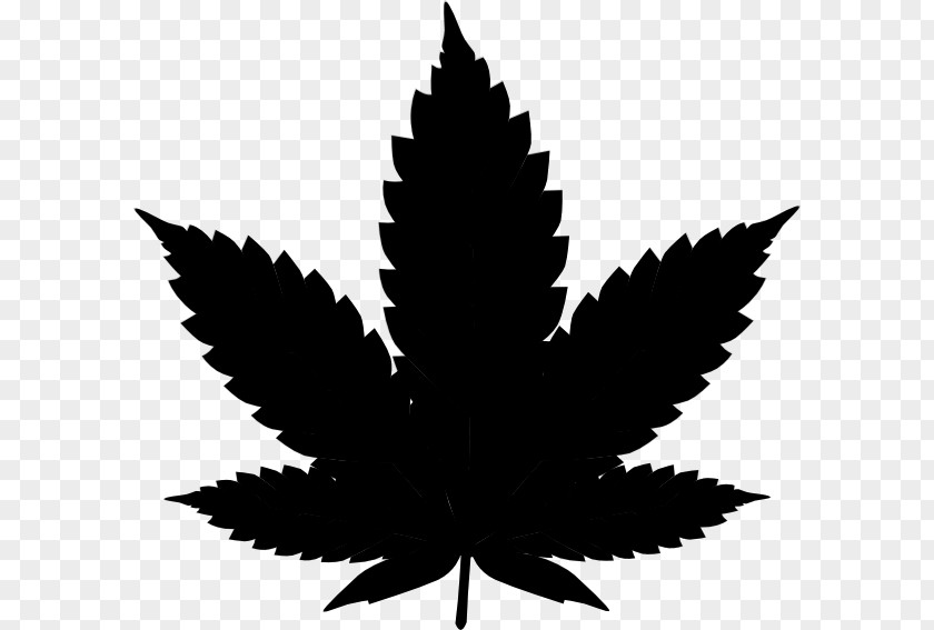 Cannabis Sativa Clip Art Vector Graphics Image PNG