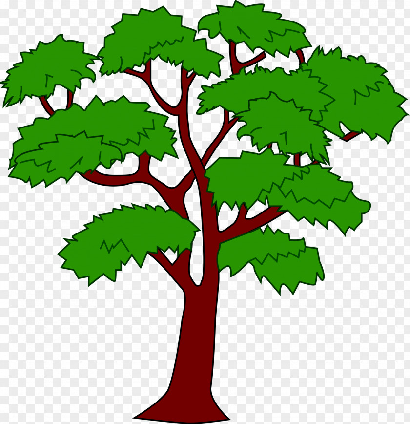 Cartoon Tree Belize Mahogany Clip Art PNG