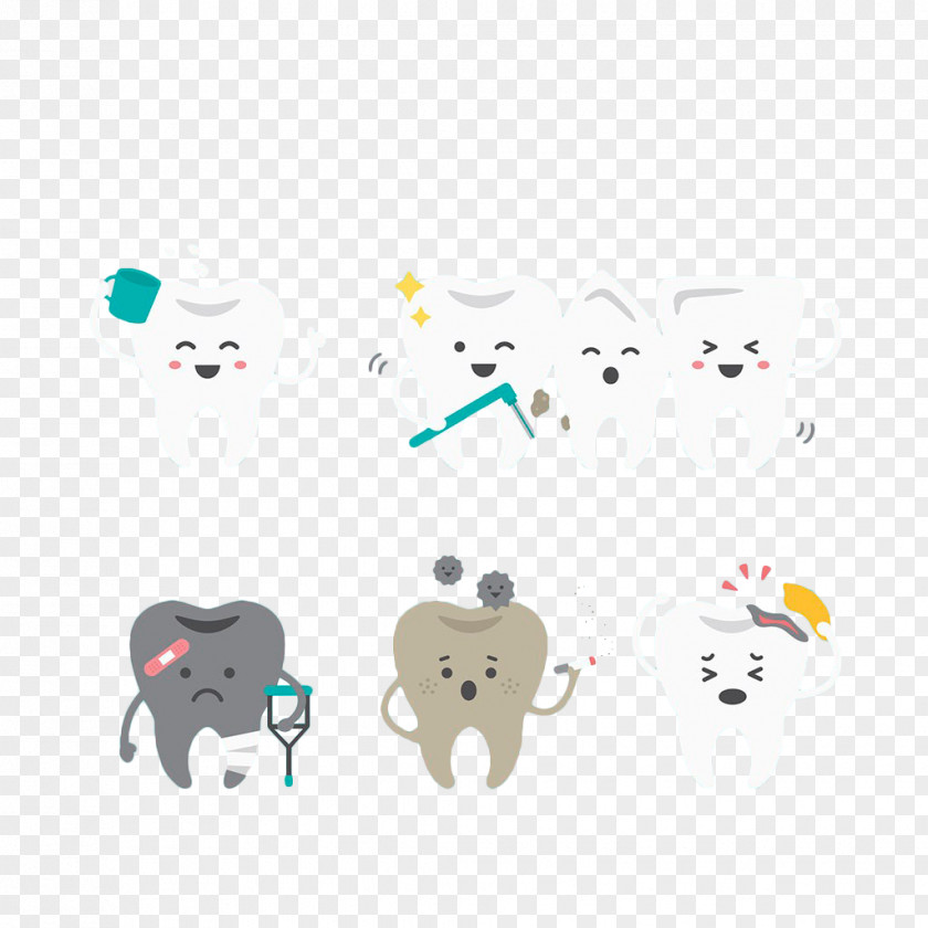 Hand Painted Teeth Illustrations Tooth Whitening Euclidean Vector PNG