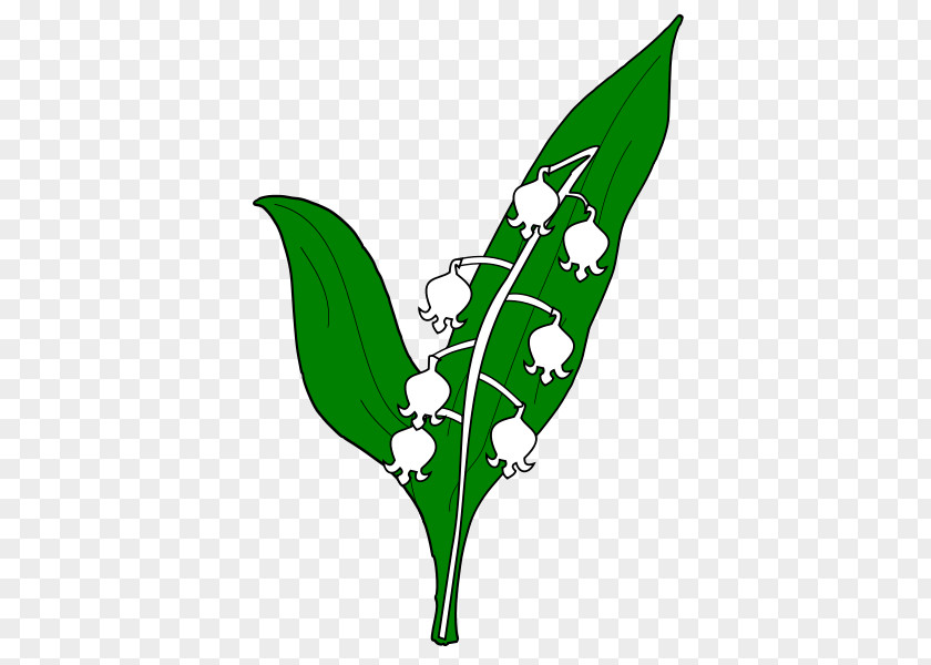 Lily Of The Valley Appenwihr Wikipedia Figura Clip Art PNG