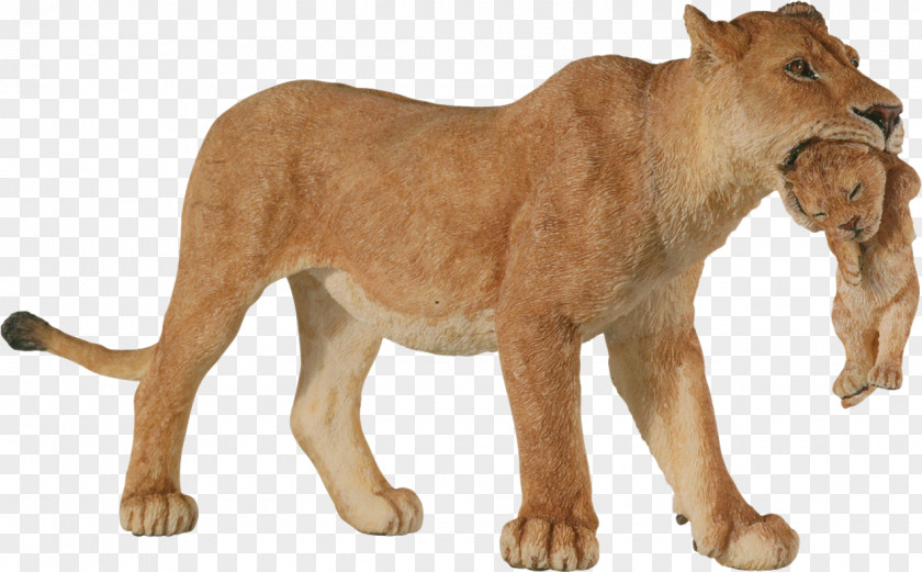 Lion Action & Toy Figures Papo Amazon.com PNG